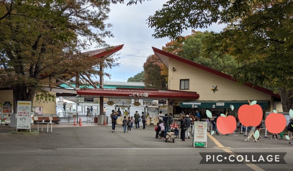 こどもの国 正面入口(2020年11月某日)