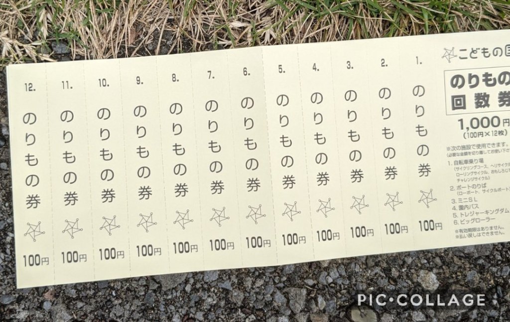 こどもの国 乗り物回数券