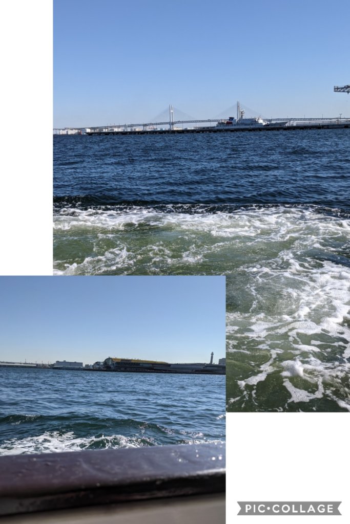 大さん橋が見えます。風が強い日で結構波が高い。