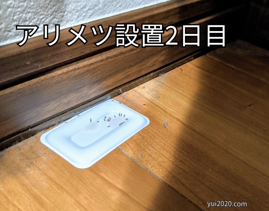 アリミツ設置2日目