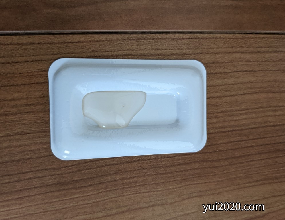 アリメツ設置初日。