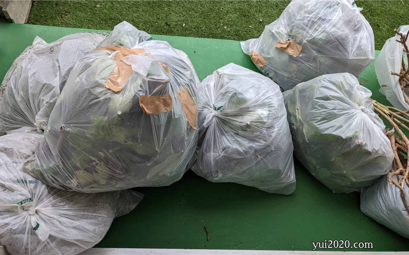 雑草処理のゴミ