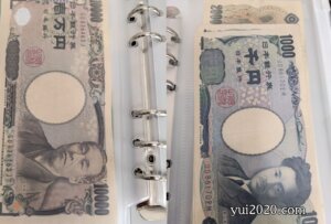 6リング用ジッパーケースにお札を収納。
